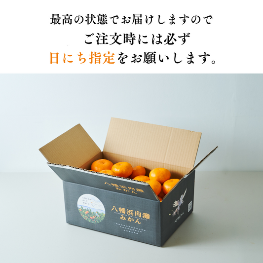 八幡浜向灘みかん